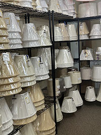 Nancy Bs Difference 1