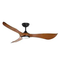 Stylish Ceiling Fan Selections 3