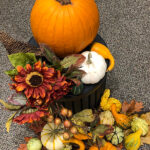 Fall Lighting Pleasures